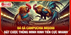 Đá Gà Campuchia Miso88 – Đặt Cược Thông Minh Rinh Tiền Cực Nhanh