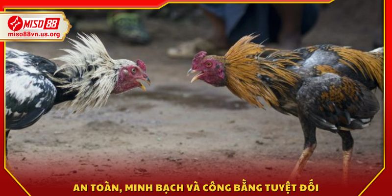 Hệ thống được giám sát chặt chẽ, đảm bảo tính công bằng