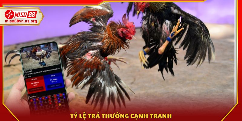 Cơ chế thưởng vượt trội