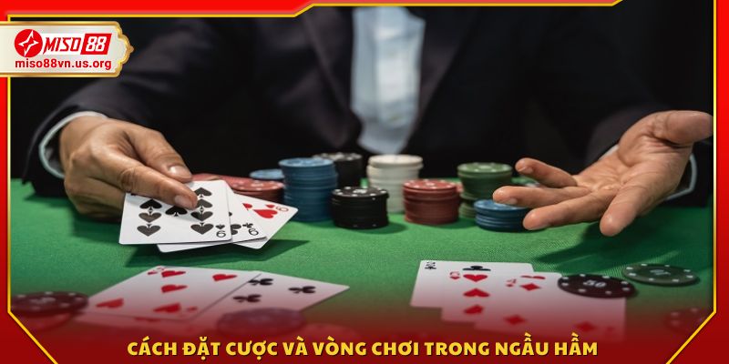 Các bước tham gia đặt cược