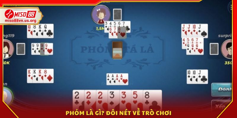 Phỏm là gì? Giới thiệu khái niệm và những thông tin cơ bản 